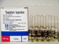 Testofort (Testosterone Enanthate) 250mg/1ml by Pliva / Amp